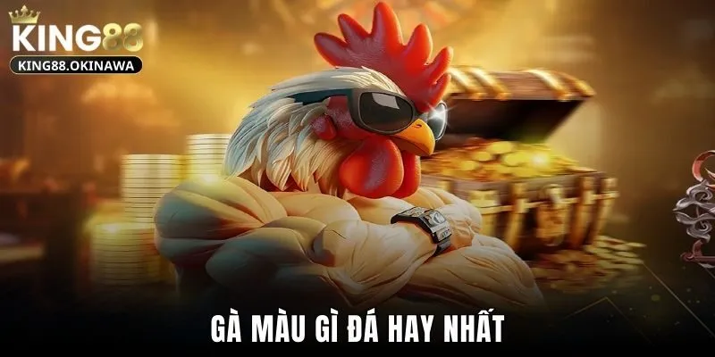 Gà Màu Gì Đá Hay Nhất - Tìm Hiểu Bí Kíp Lựa Chọn Chuẩn